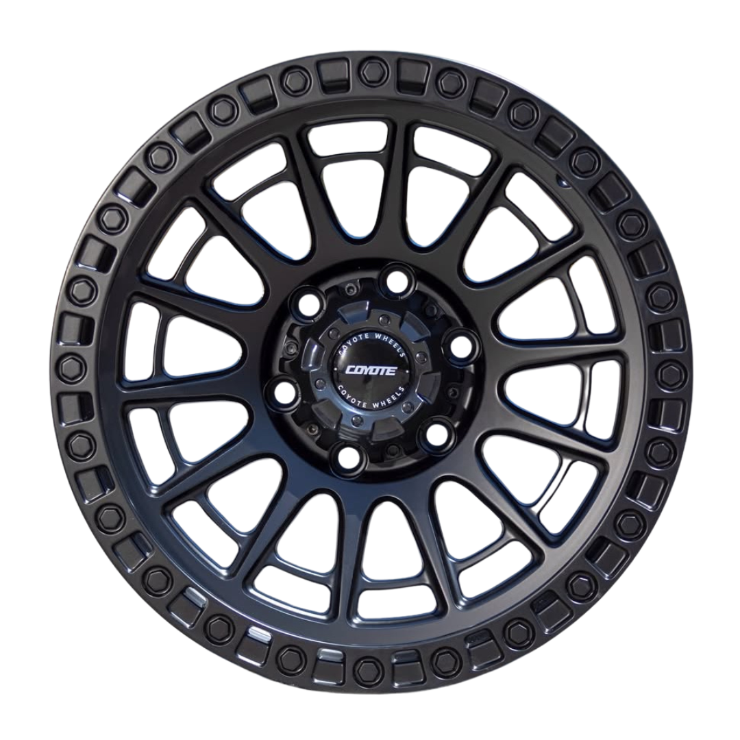 DOMINATOR