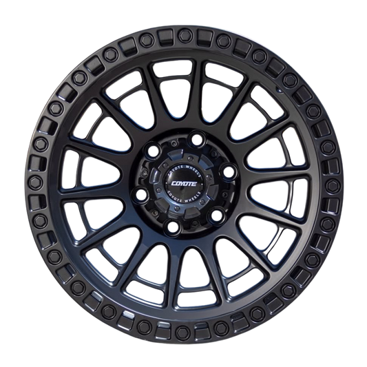 DOMINATOR